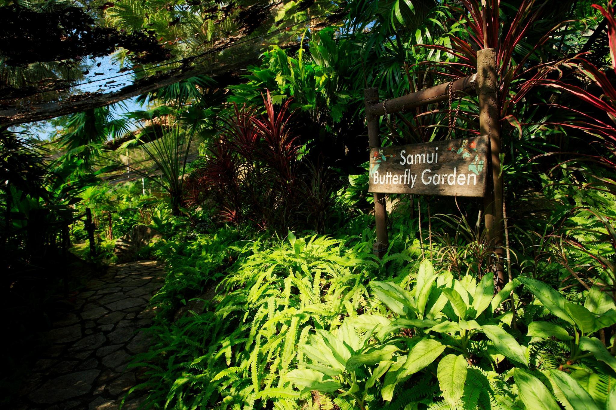 Centara Villas Samui - Sha Plus Lamai Beach  Exterior photo